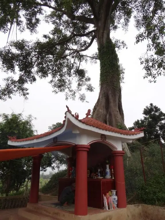 Miếu thờ tại Đền thờ Hoàng Công Chất