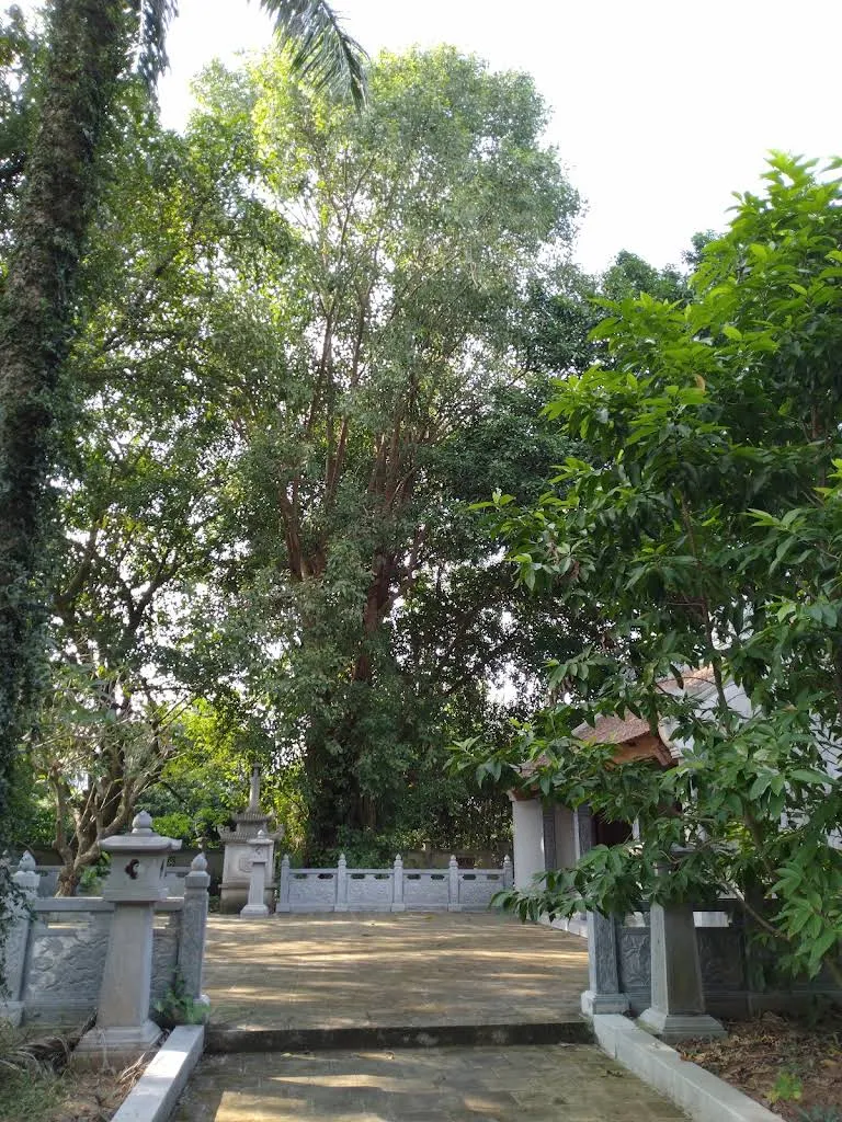 Không gian cảnh quan di tích Đình Ngọc Trục