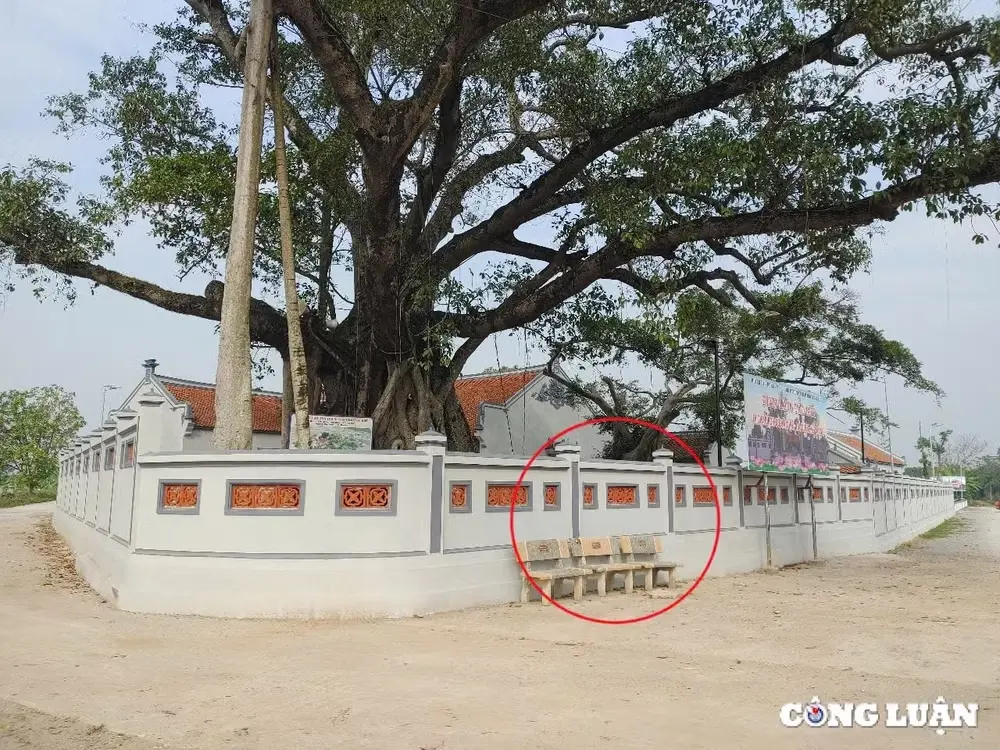 Cảnh quan bên ngoài di tích Đình Tảo khê