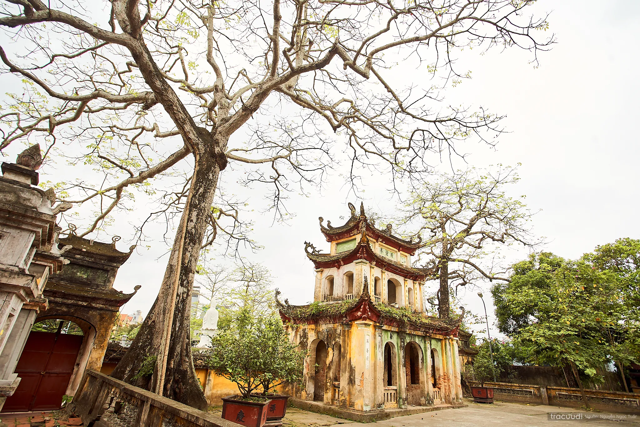 Không gian cảnh quan di tích Chùa Trung Hành