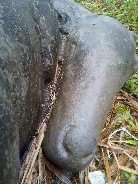 Tượng trâu đá tại Đền thờ Đào Quang Nhiêu