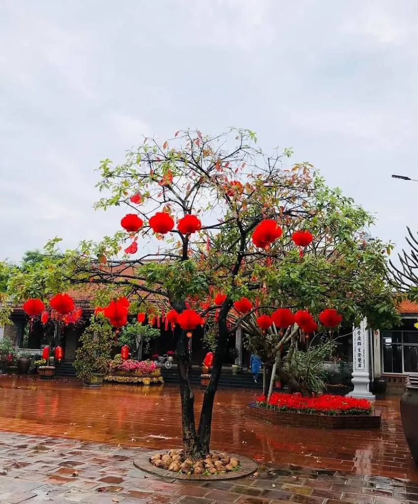 Không gian cảnh quan Chùa Sùng Phúc (Sùng Khánh)