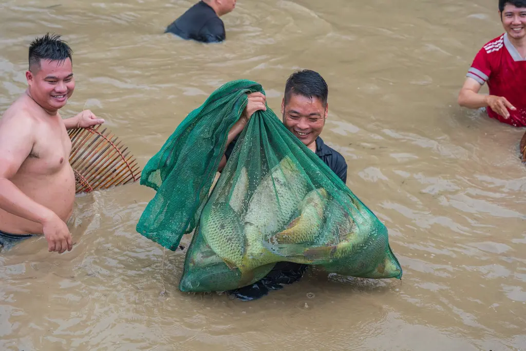Rất nhiều cá chép bắt được trong lễ hội Đả Ngư đền Và