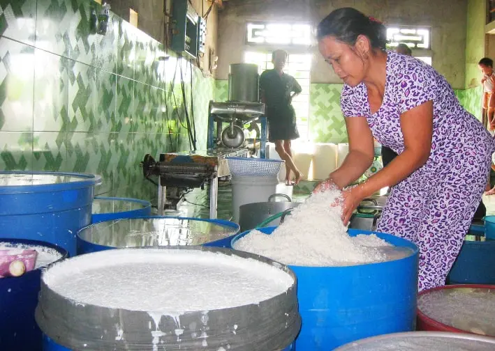 Công đoạn ngâm gạo để làm bún Vân Cù