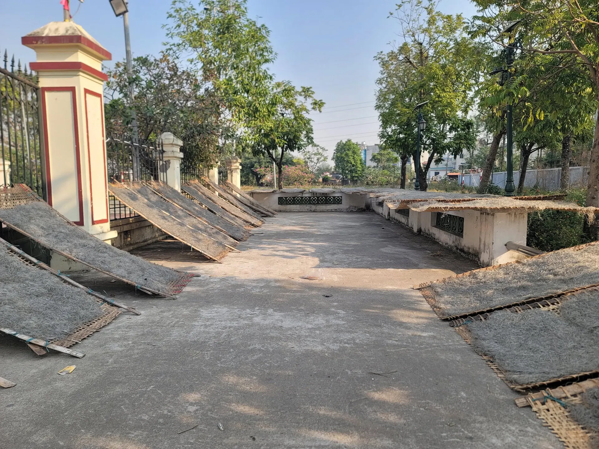 Người dân làng Phú Diễn tận dụng mặt bằng để phơi miến.