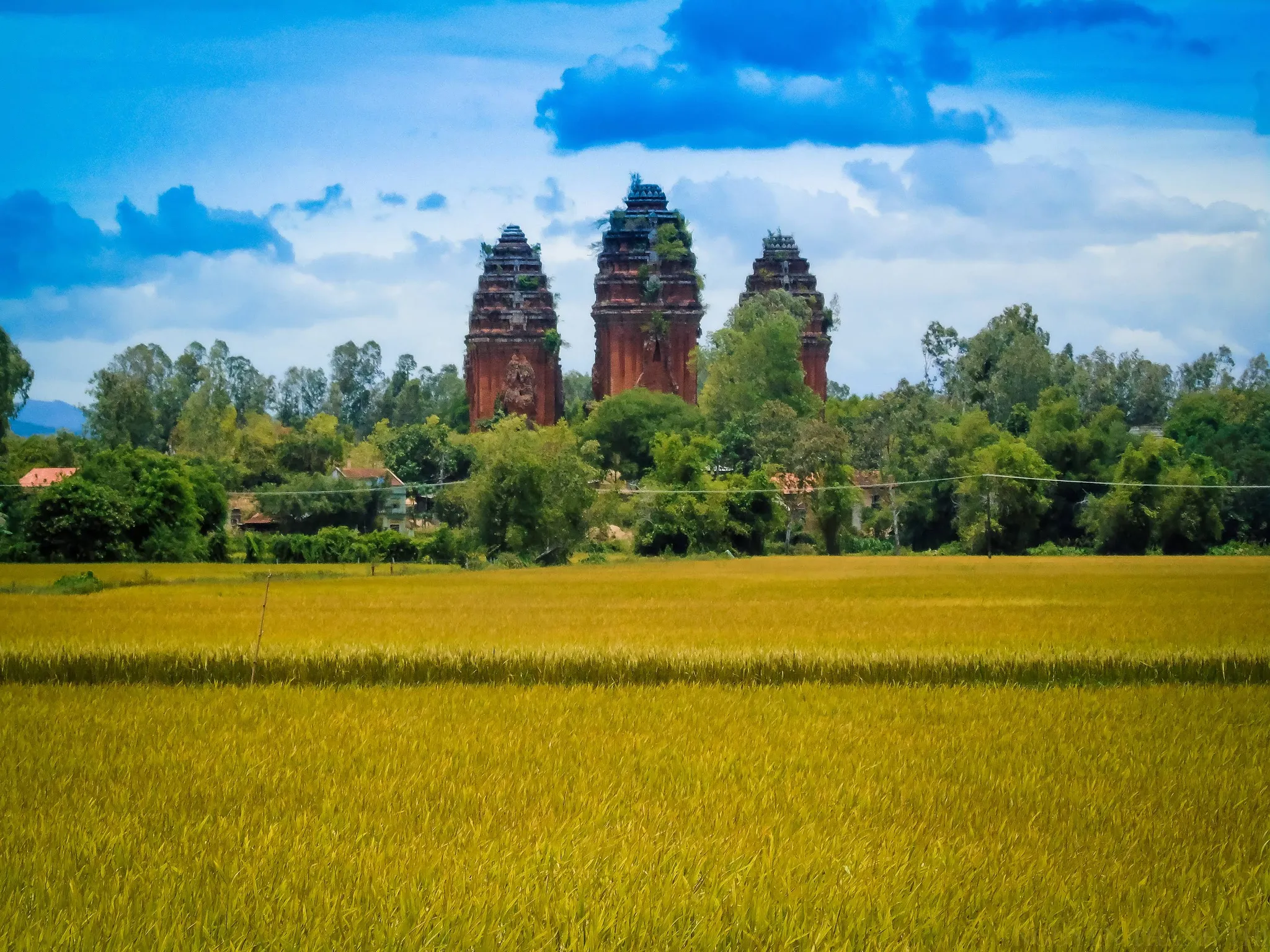 Vẻ đẹp Di tích Lịch Sử Văn Hóa Đặc Biệt Tháp Chăm Dương Long nhìn từ xa