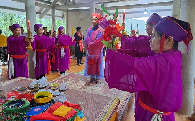 Một nghi lễ tế mặn tại Lễ hội Đình làng Dọc