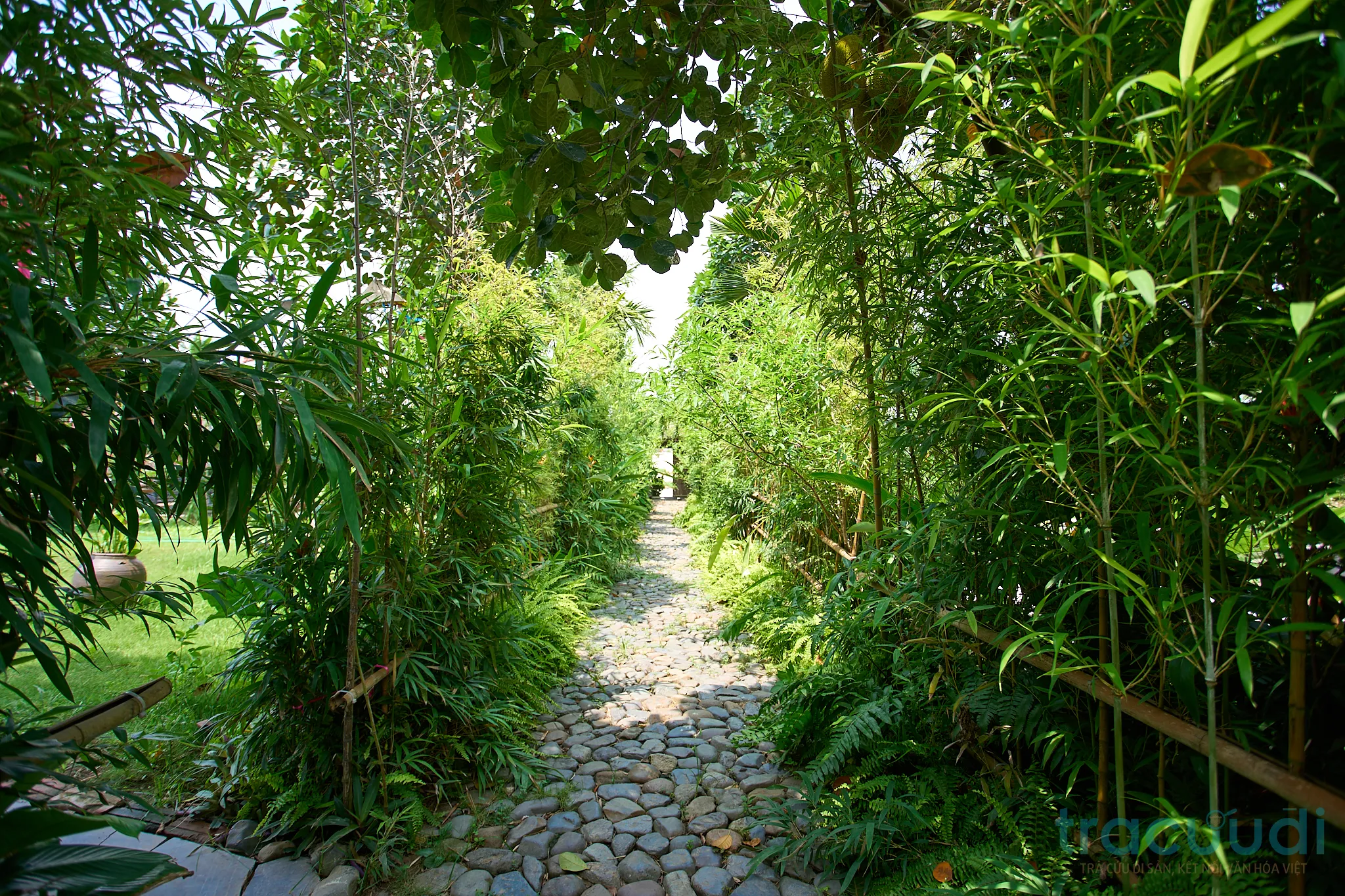 Cảnh quan di tích Chùa Thanh Âm (Chùa Cháy)