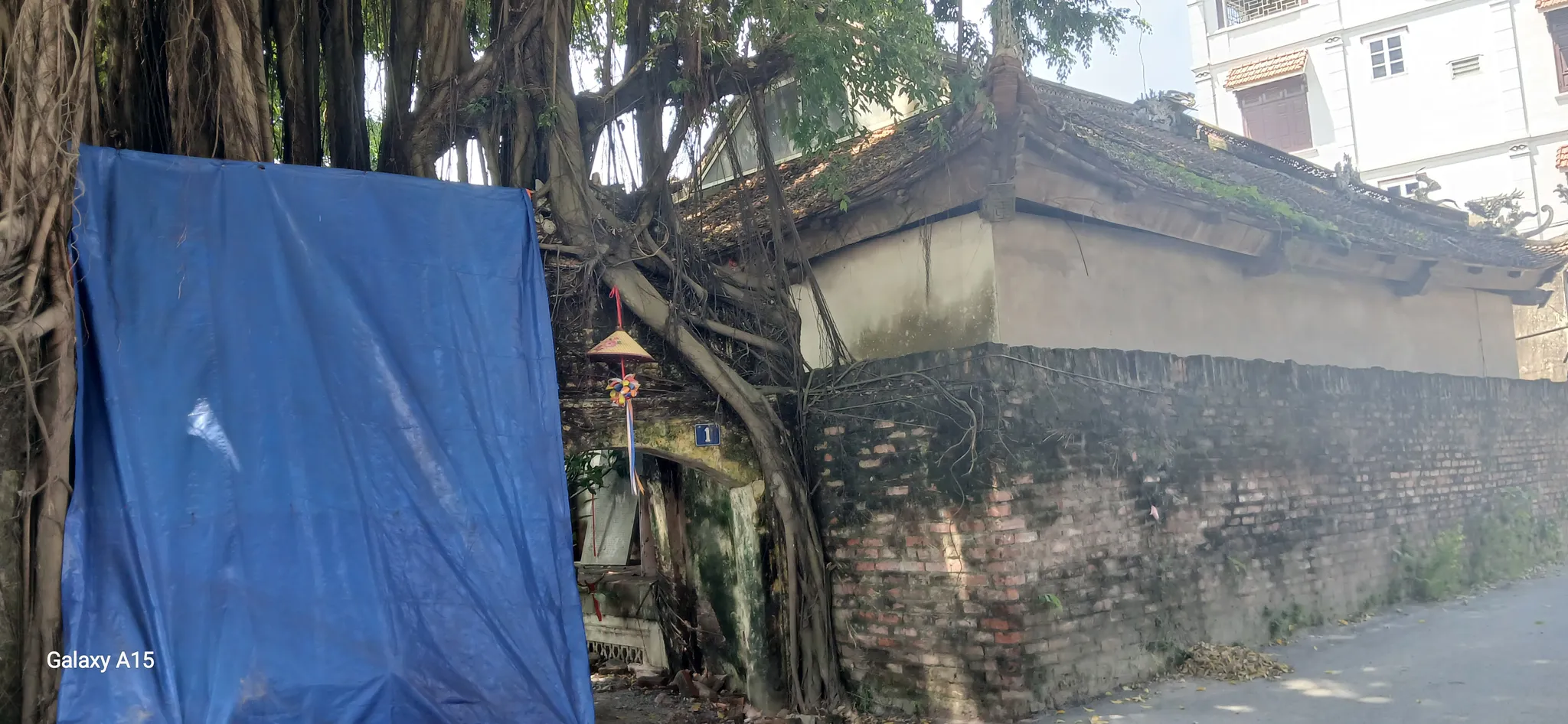 Phía sau chùa Cảnh Linh
