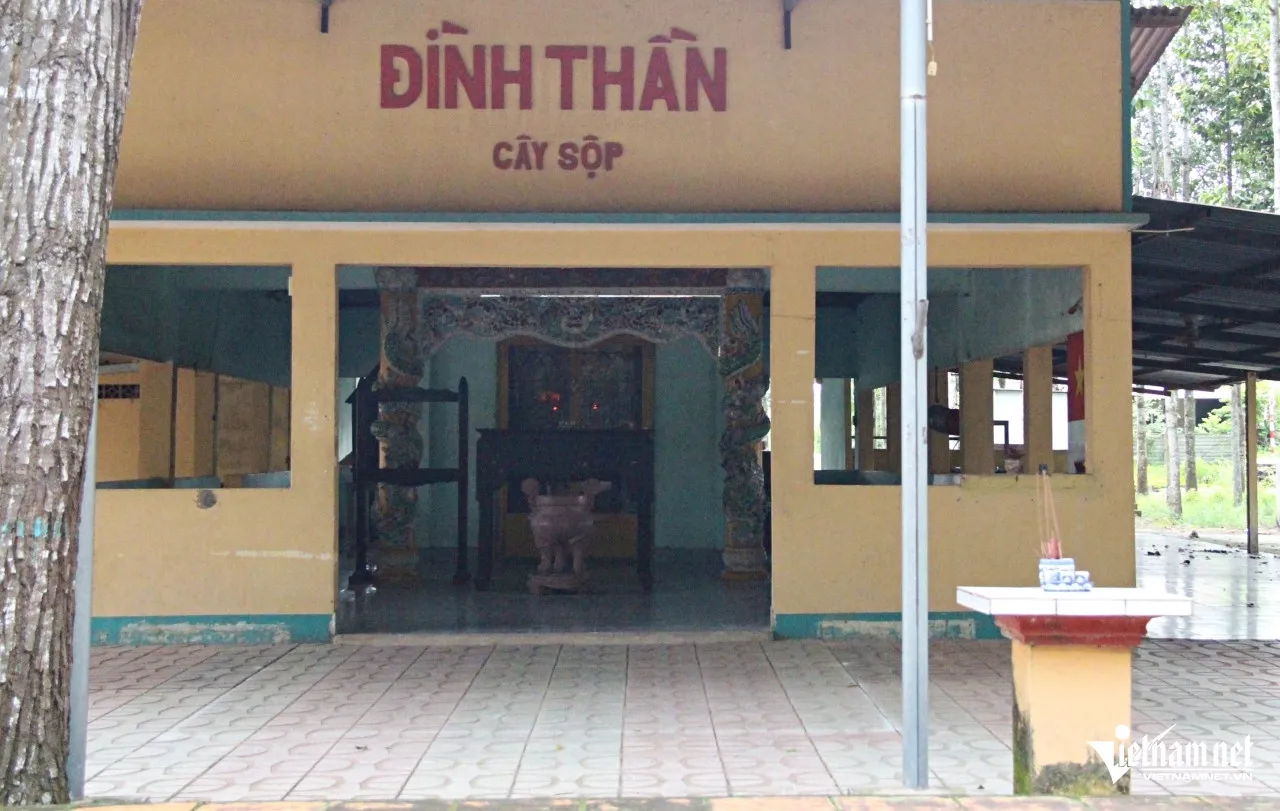 Phía trước Đình Cây Sộp