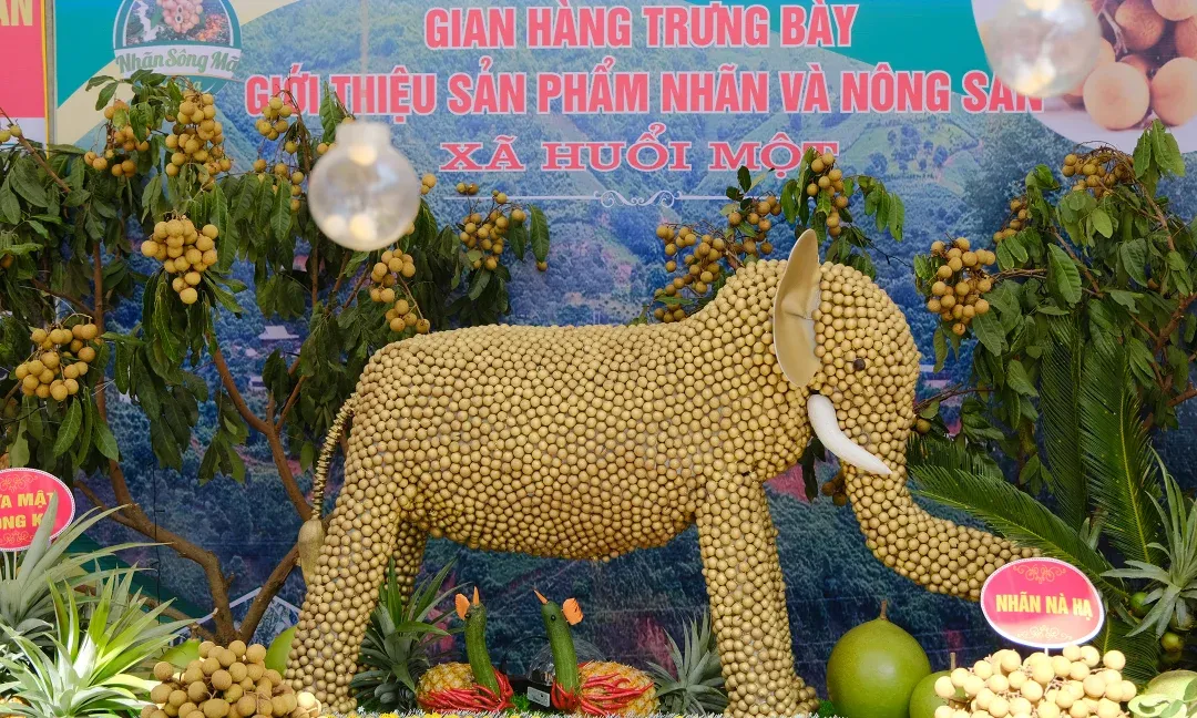 Trang trí gian hàng tại Lễ hội Ngày hội nhãn huyện Sông Mã