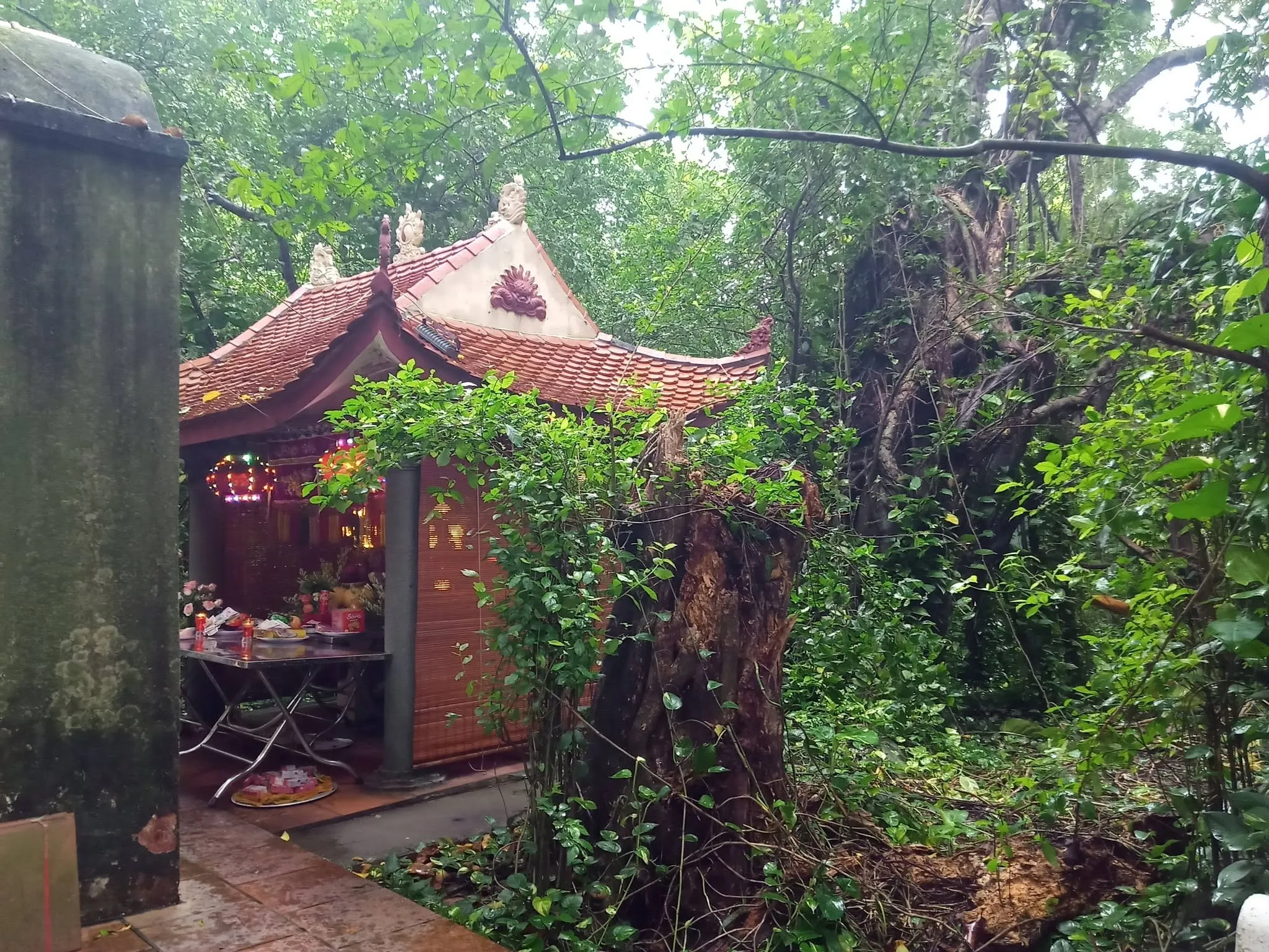 Không gian cảnh quan miếu Giang Khê.