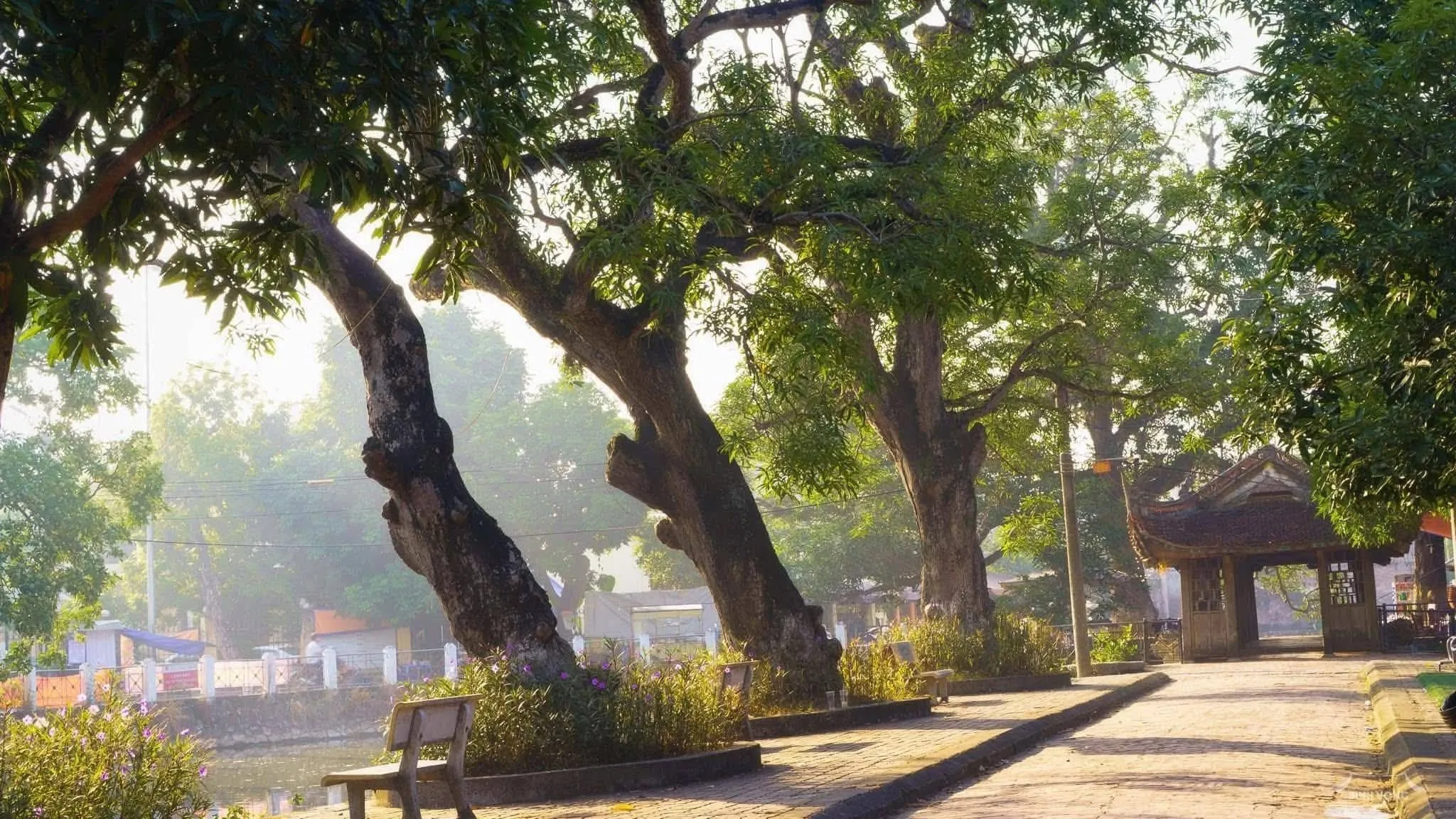 Đình Bình Vọng view từ xa