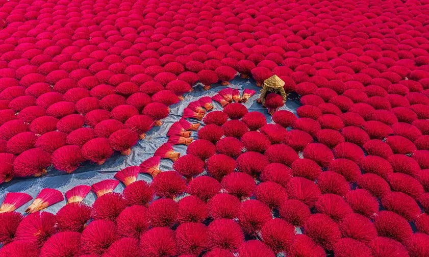 Làng hương Quảng Phú Cầu rực rỡ sắc màu dưới ánh nắng mặt trời