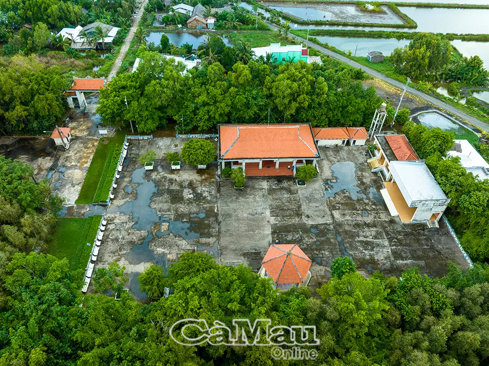 Tổng thể Di tích Căn cứ Cái Chanh