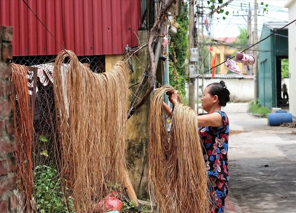 Công đoạn phơi cỏ tế