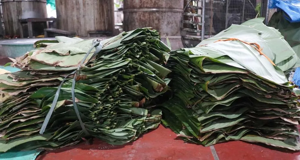 Lá dong được rửa sạch xếp ngay ngắn