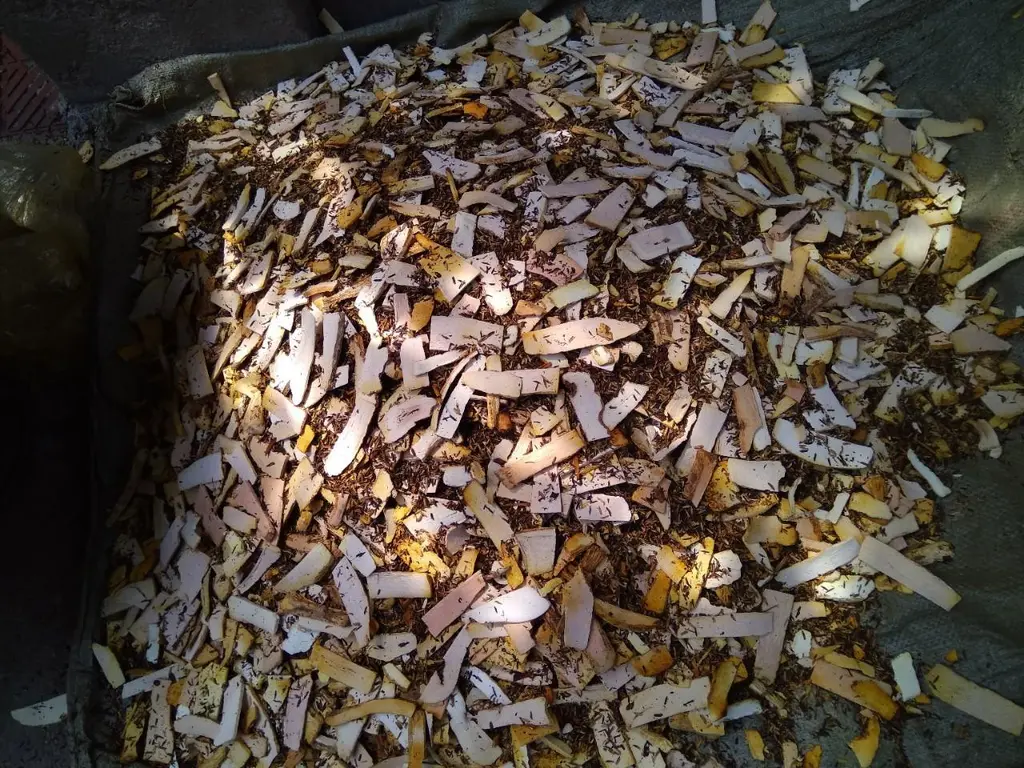 Dược liệu sau khi sơ chế được mang đi phơi