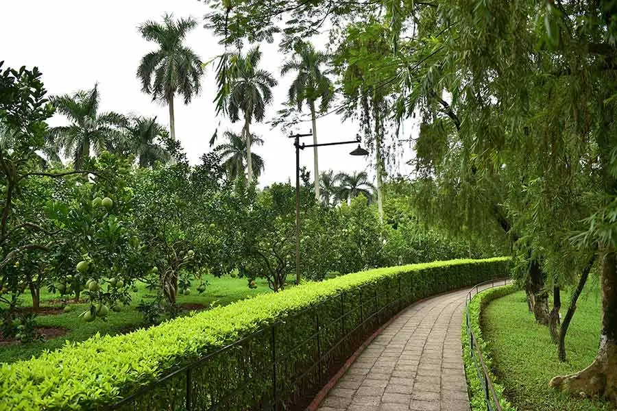 Vườn cây tại Khu lưu niệm Chủ tịch Hồ Chí Minh
