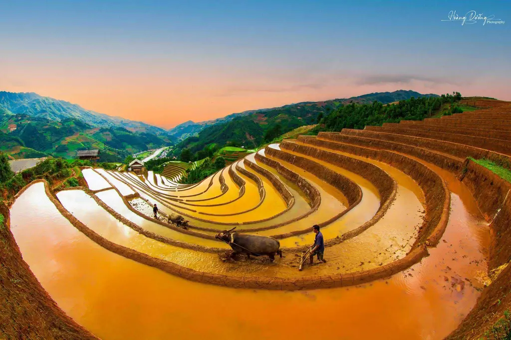 Hình ảnh Ruộng Bậc Thang Mù Cang Chải