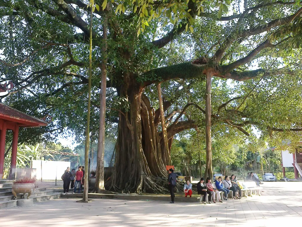 Không gian bên trong sân Đền thờ Hoàng Công Chất
