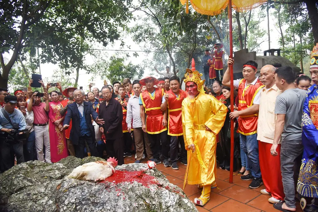 Hành động chém gà tại Hội Đền Sái