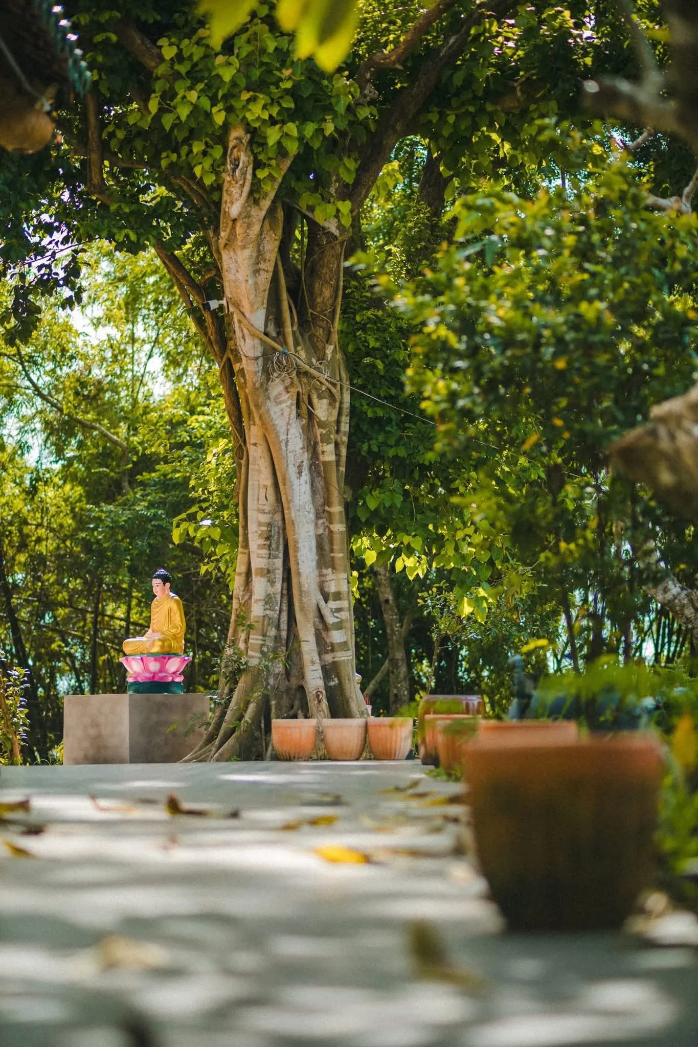 Không gian bình yên tại Chùa Giác Linh (Chùa Dơi)