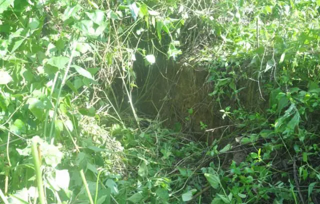 Dấu vết hầm chữ A tại Khu căn cứ Kháng chiến tỉnh Đắk Lắk