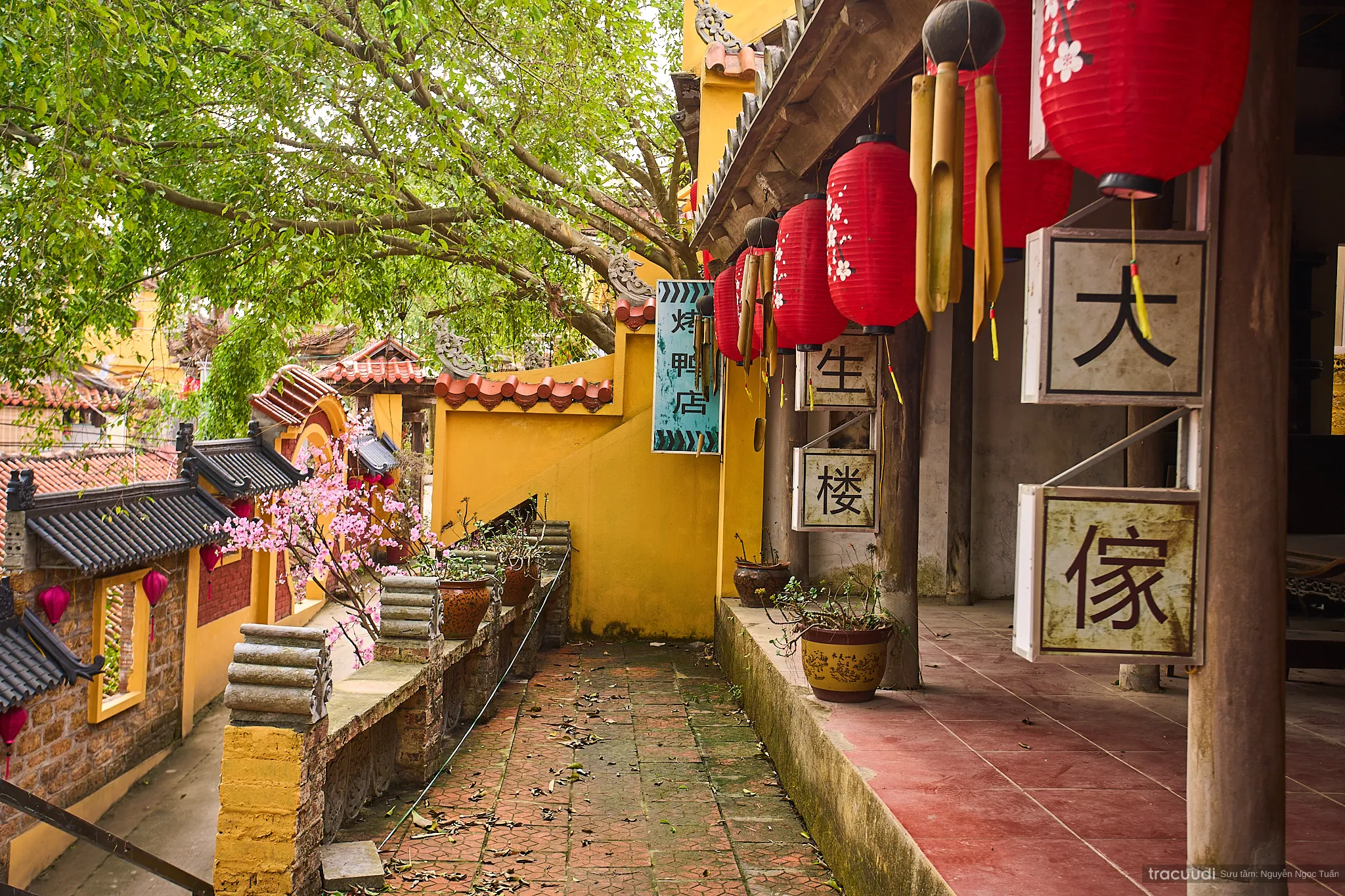 Không gian cảnh quan di tích Đền Cốc Lâm