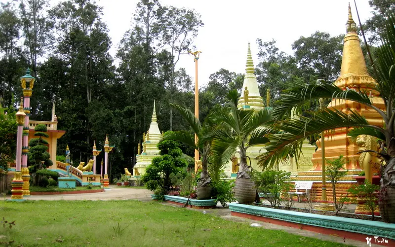 Khuôn viên Chùa Chim