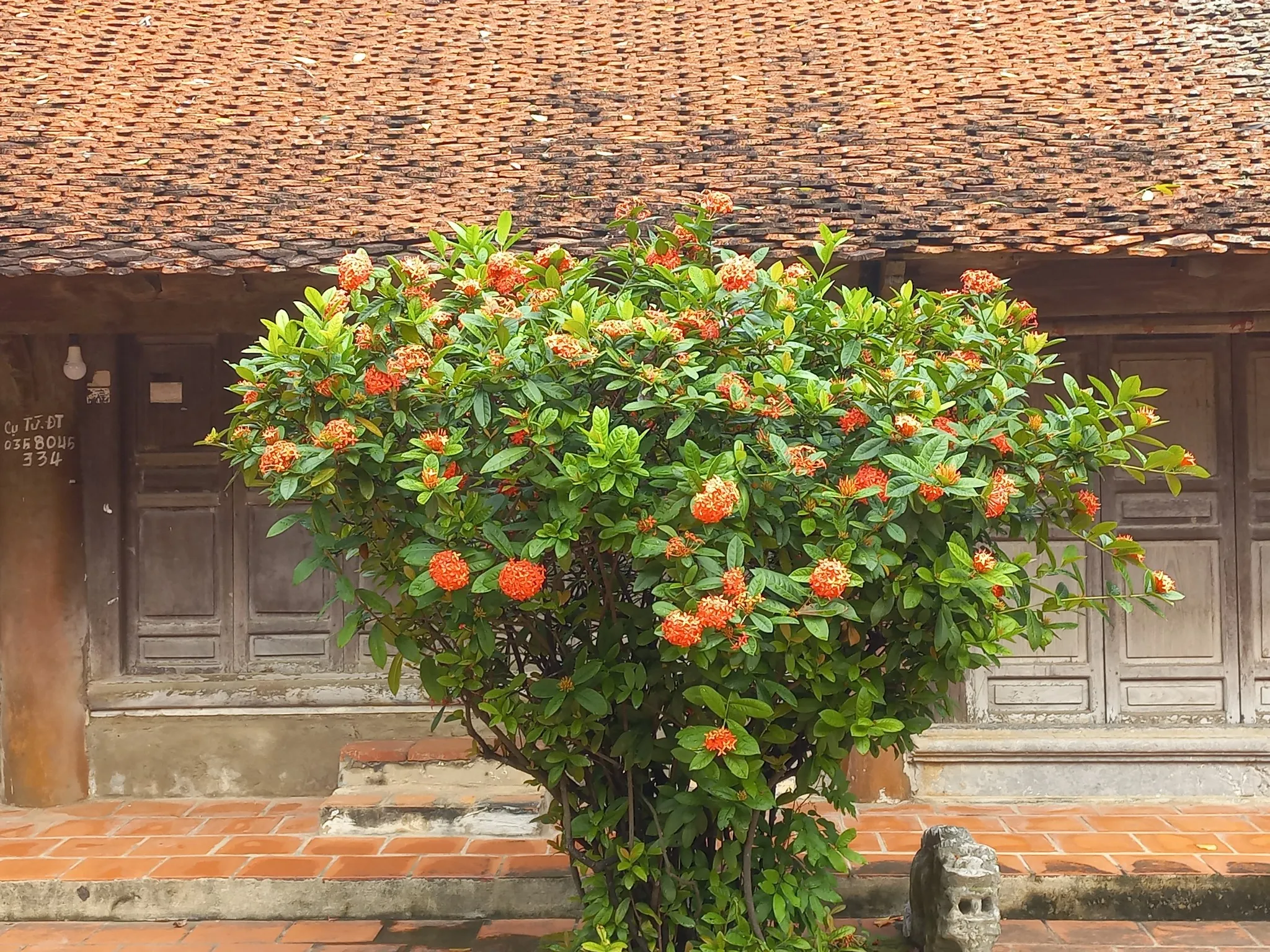 Cận cảnh Đình Phương Bản