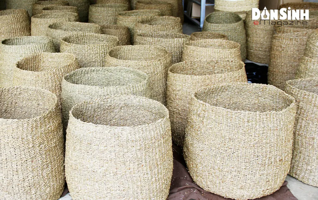 Sản phẩm tại Công ty TNHH xuất khẩu Việt Trang