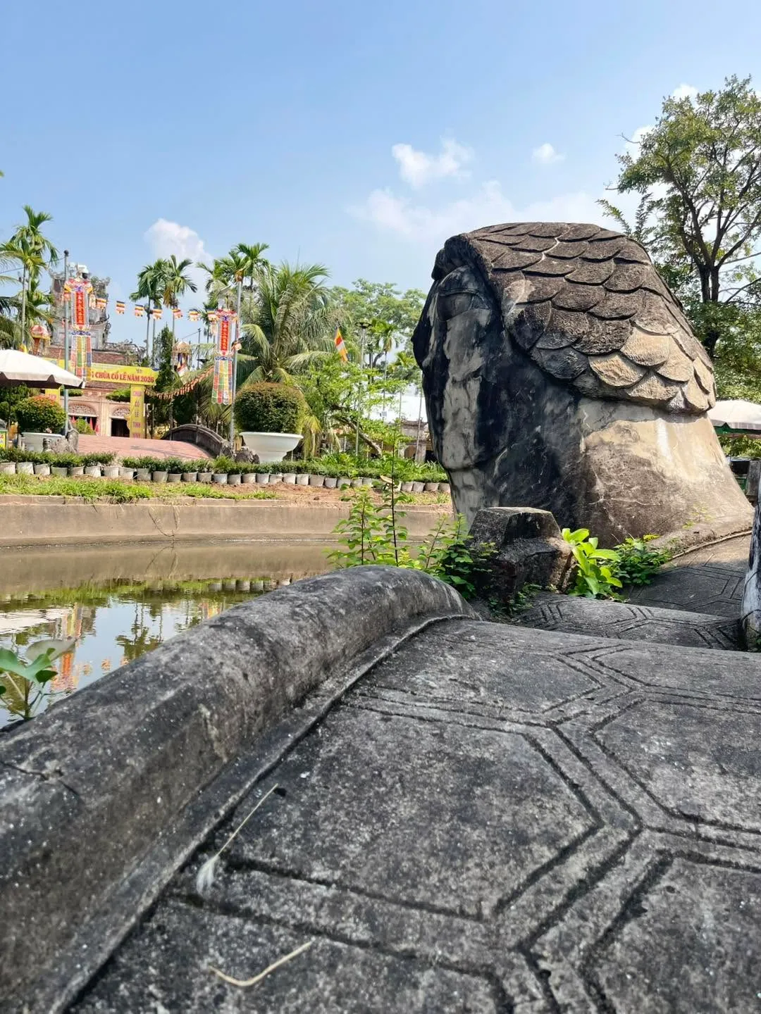 Đầu cụ rùa trong Chùa Cổ Lễ