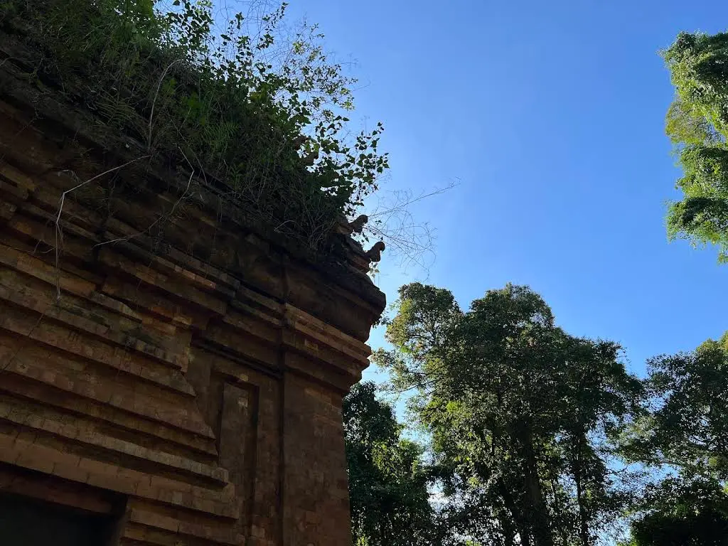 Một góc Tháp Chăm Yang Prong