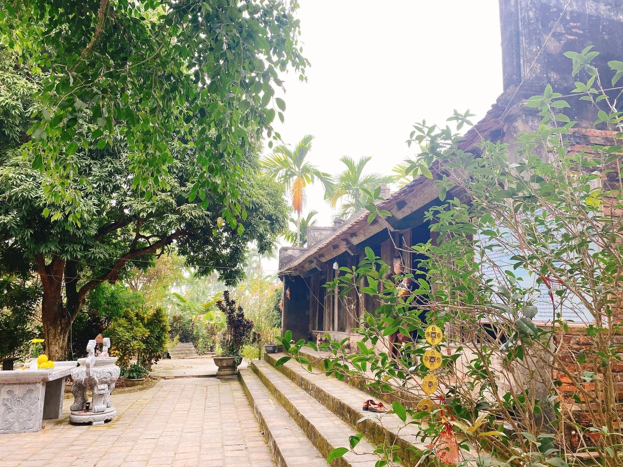 Cảnh quan Chùa Bảo Tháp (Chùa Linh Quy) chụp ngang