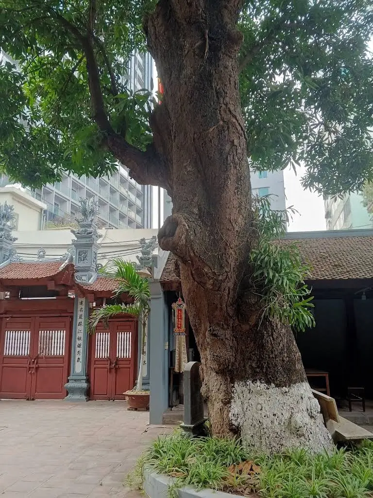 Không gian cảnh quan Chùa Đản Cơ (chùa Nền)