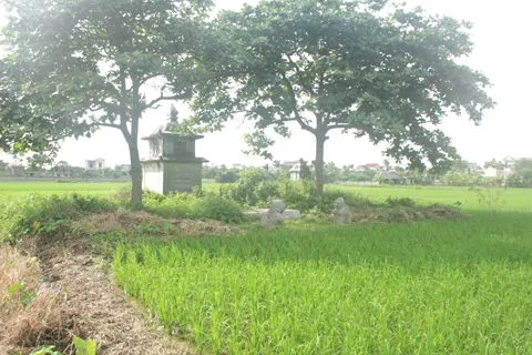 Lăng bà Bổi chụp từ xa