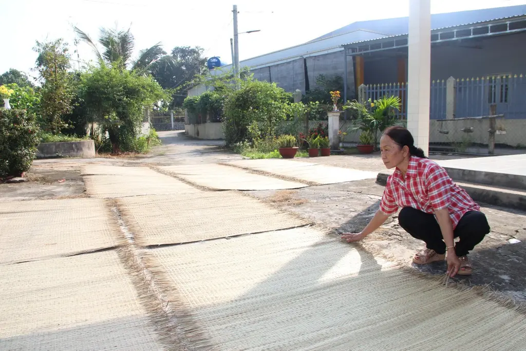 Chiếu sau khi dệt được mang ra phơi nắng