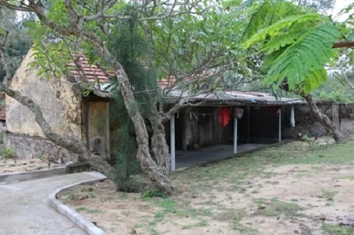 Cảnh quan tại Đền Thần Cô - Thần Cậu