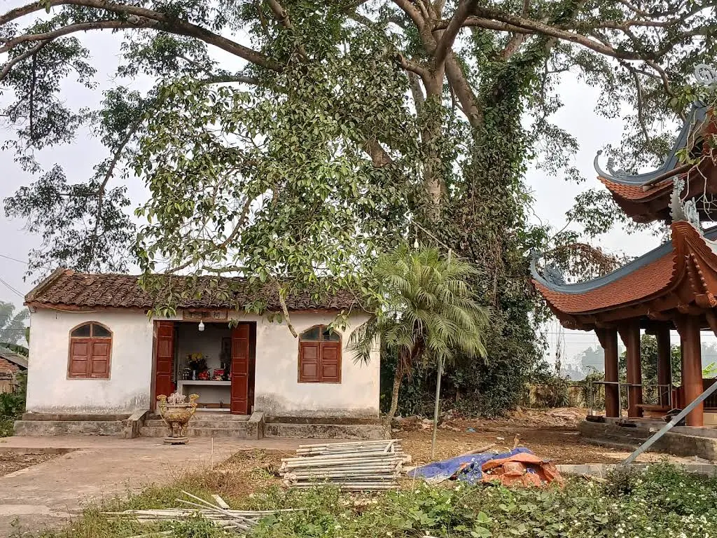 Cảnh quan Chùa Đà Quận