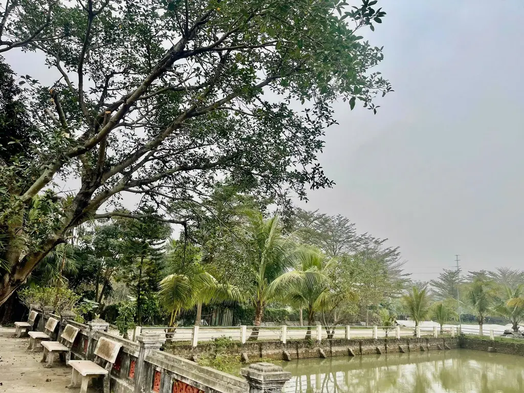 Cảnh quan khuôn viên di tích Đình Phú Tàng