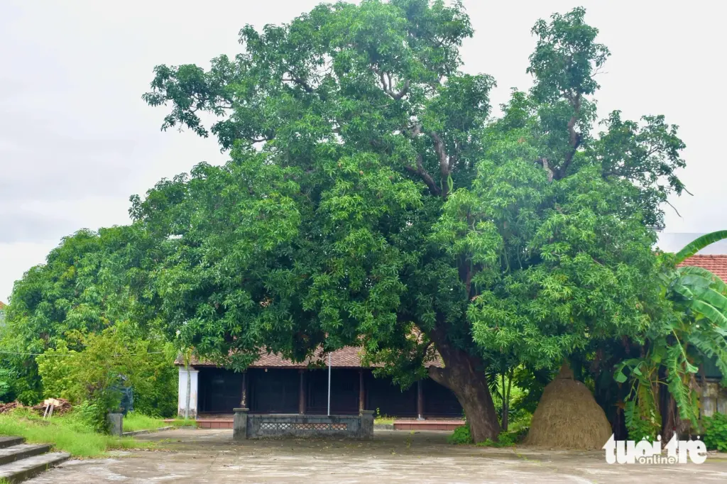 Cảnh quan tại Lẫm Phú Lâm