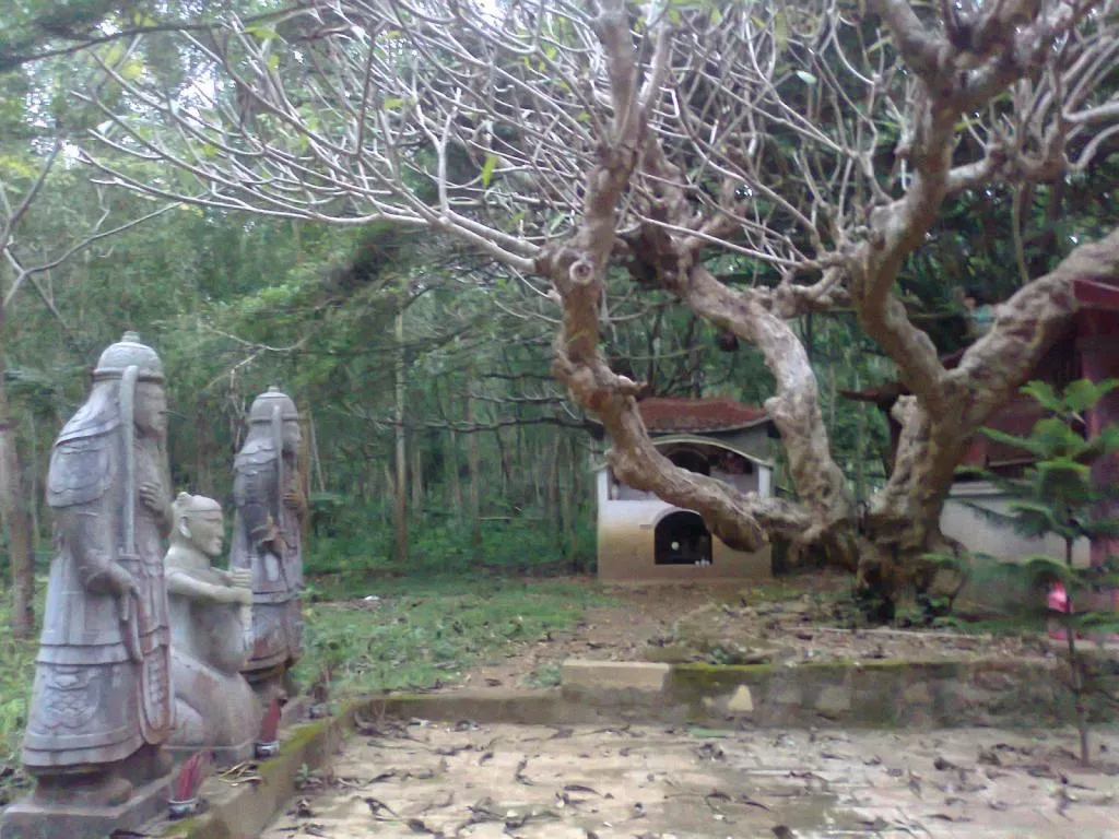 Cây đại cổ thụ cạnh Lăng Đa Bút