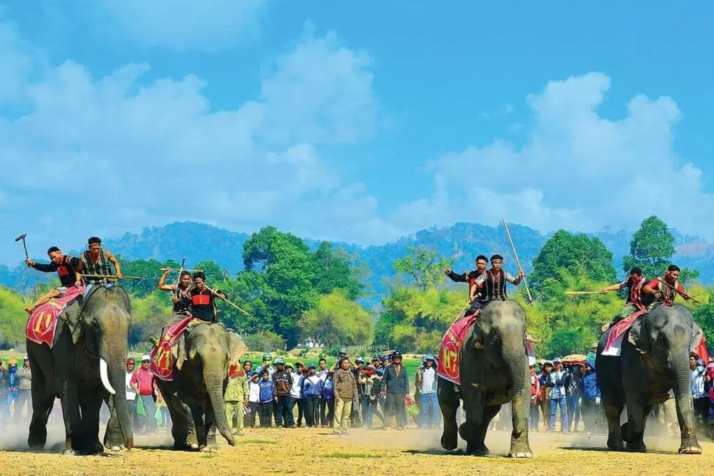 Không gian Lễ hội đua voi