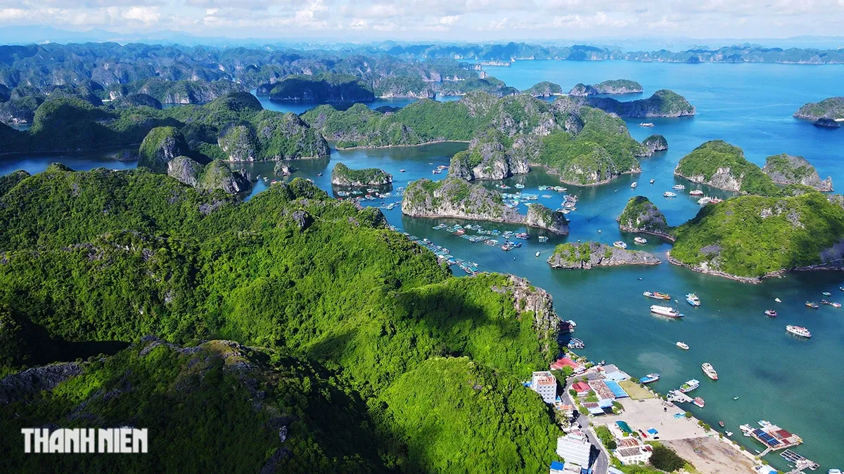 Cảnh quan Quần đảo Cát Bà
