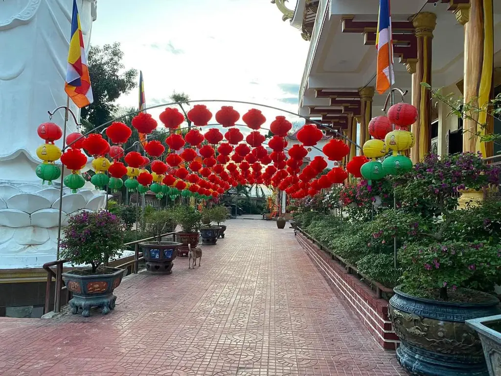 Khuôn viên Chùa Từ Quang