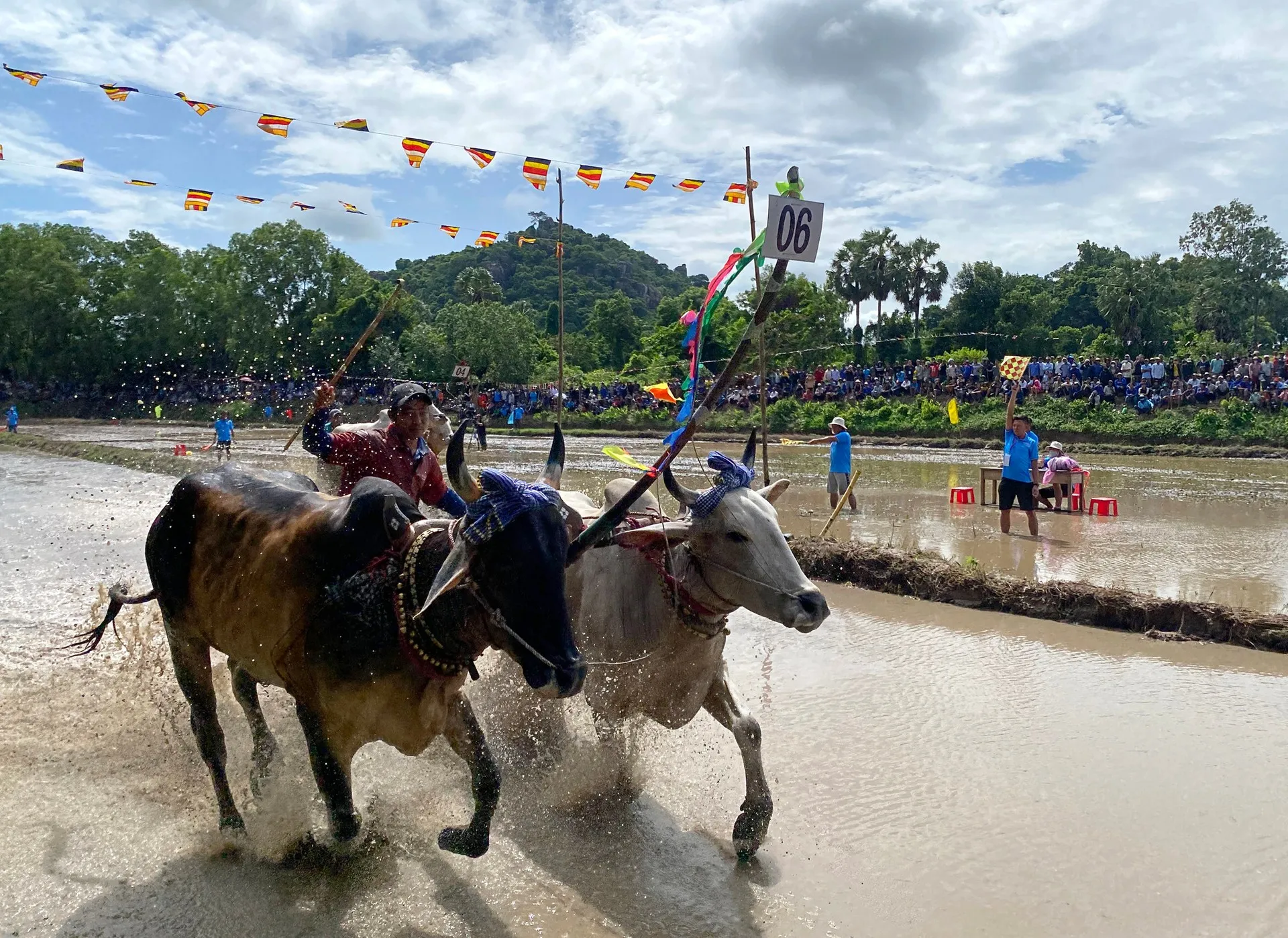 Hội đua bò tại Lễ Đônta (Sene Dolta)