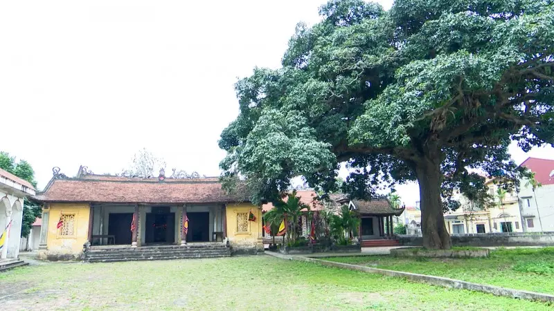 Không gian cảnh quan di tích Đình Đào Xá (Đình Tây)