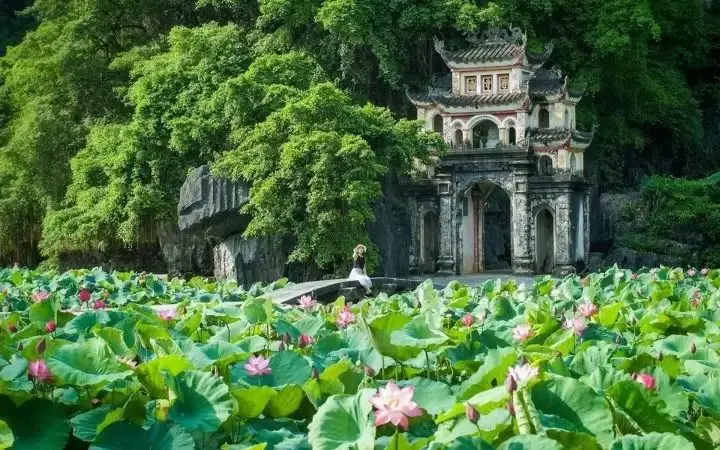 Cổng chùa Bích Động
