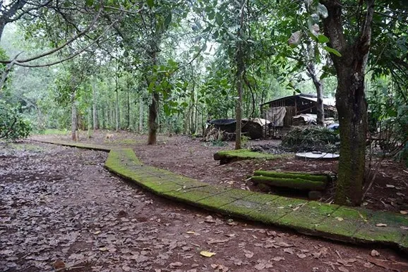 Không gian cảnh quan tại Địa đạo Kim Long